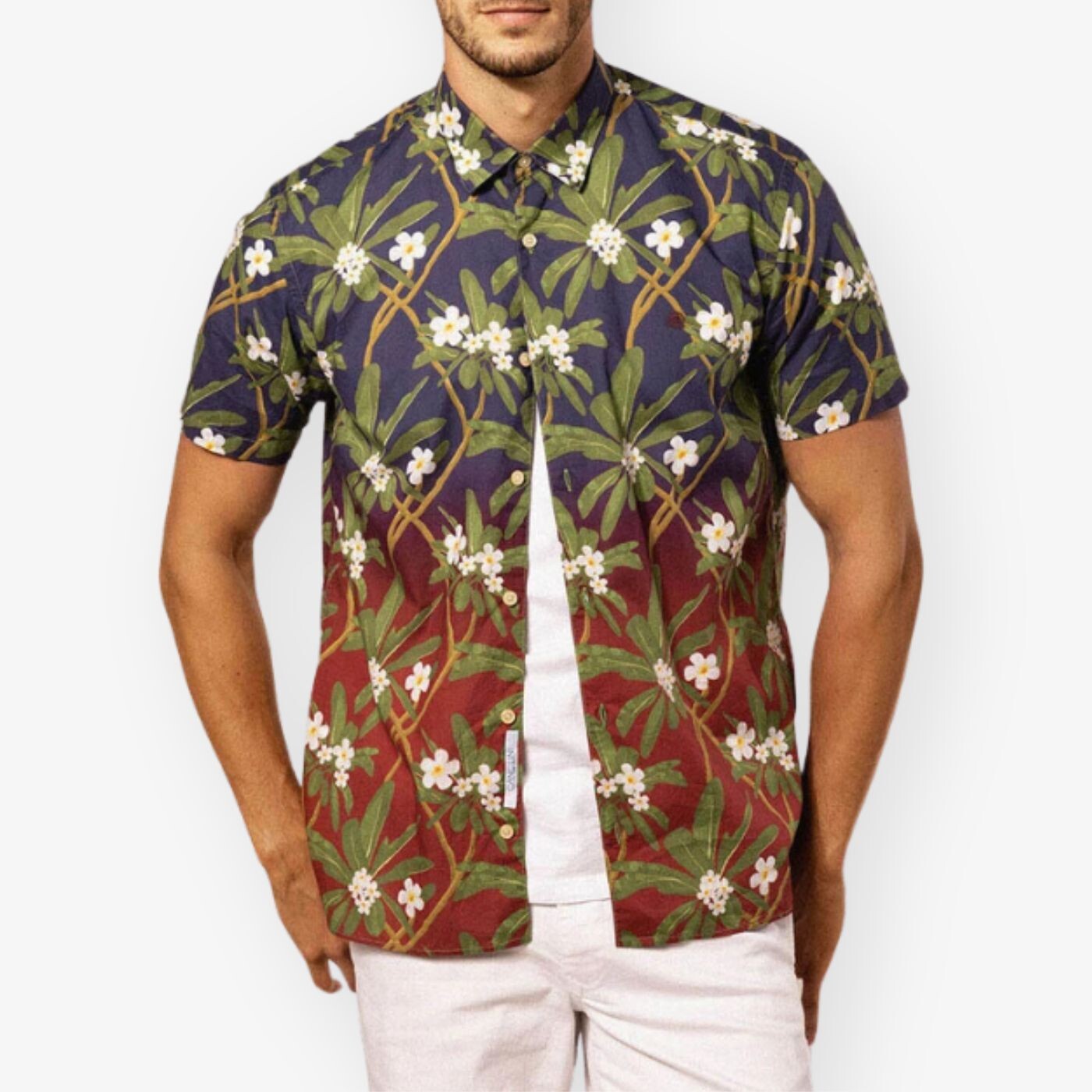 Chemise Manches Courtes À  Imprimé Fleuri Et Dégradé