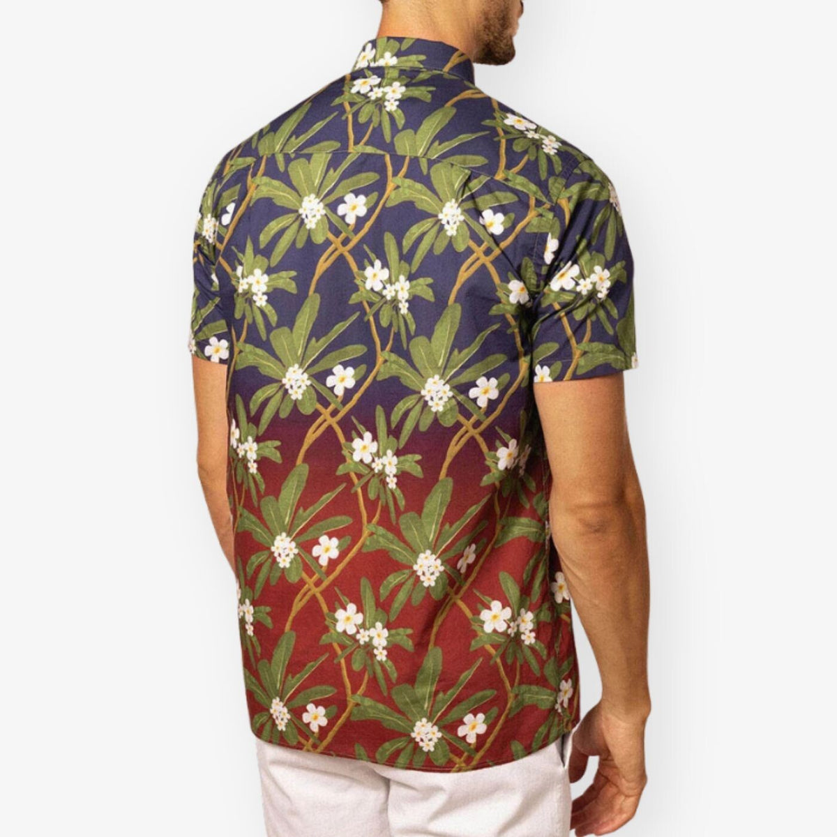 Chemise Manches Courtes À  Imprimé Fleuri Et Dégradé