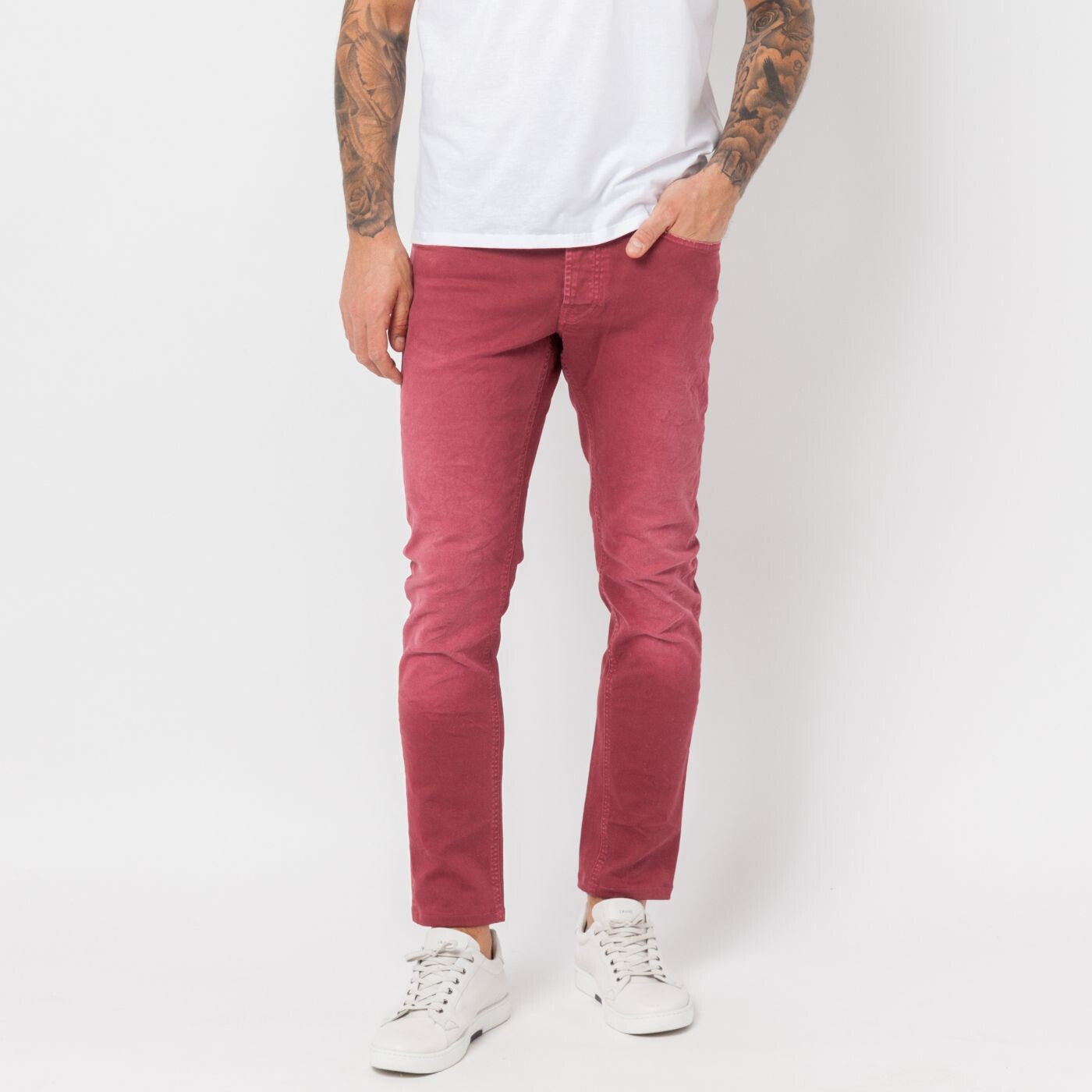 Pantalon 800 burgundy