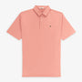 Polo manches courtes en jersey de coton rose