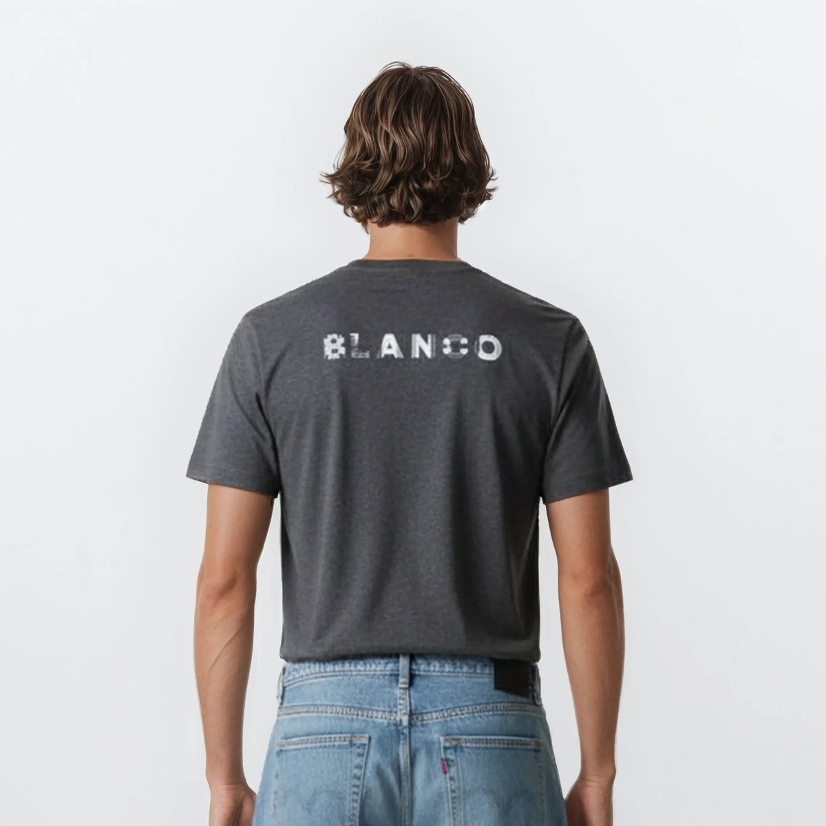 Men's anthracite gray short-sleeved T-shirt with print on the back SERGE BLANCO