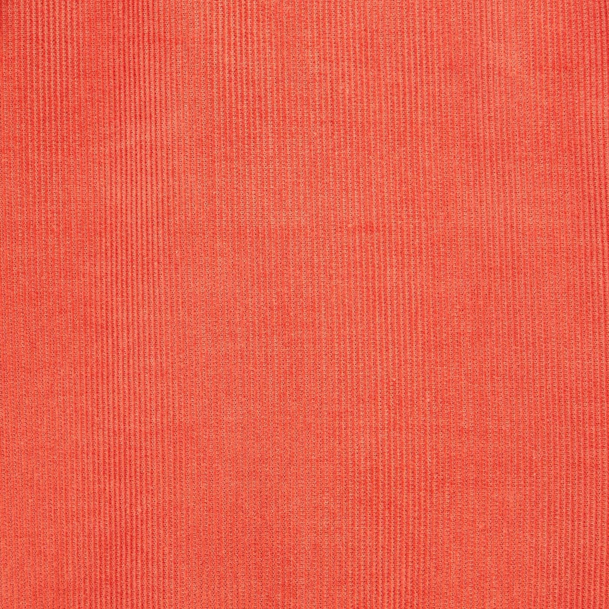 Camicia sienese a maniche lunghe in velluto