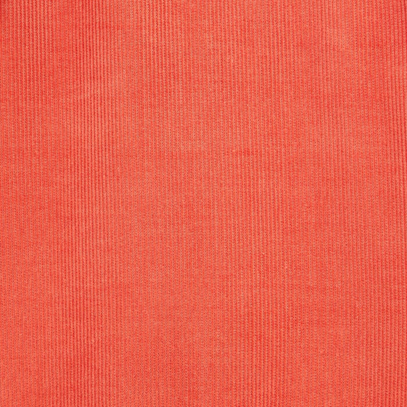 Camicia sienese a maniche lunghe in velluto